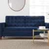 Brookside Tufted Velvet Sofa