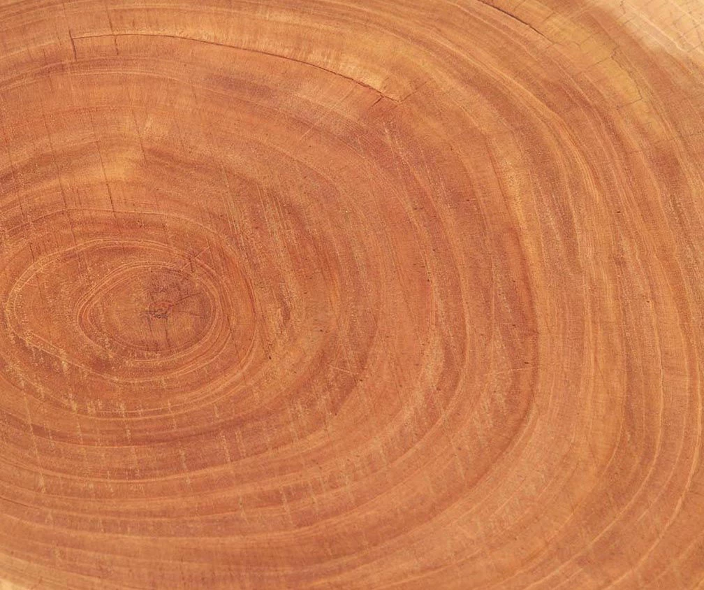 Live Edge Acacia Side Table 2 Live Edge Acacia Side Table - Image 2